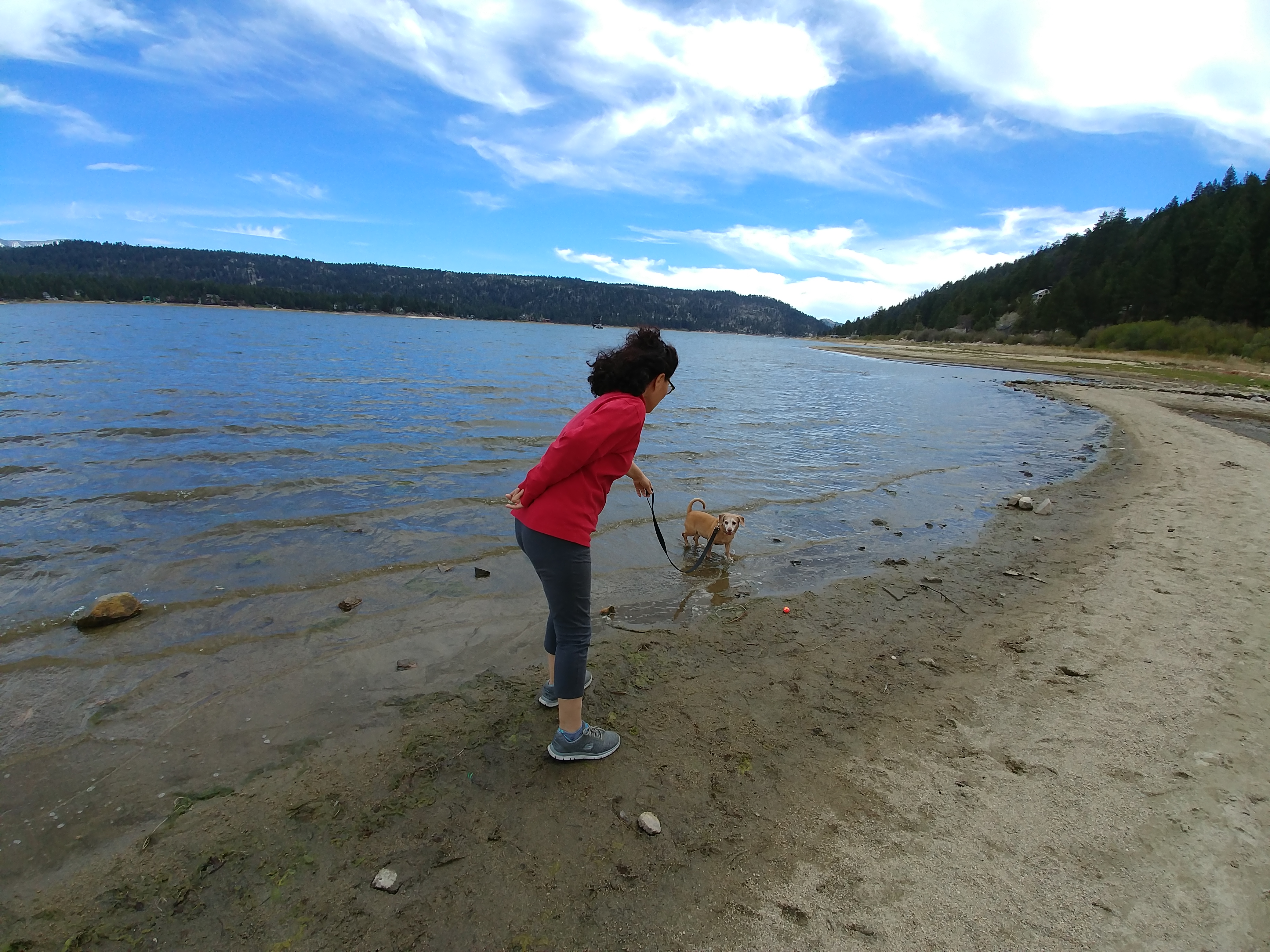 20180506_145454.jpg