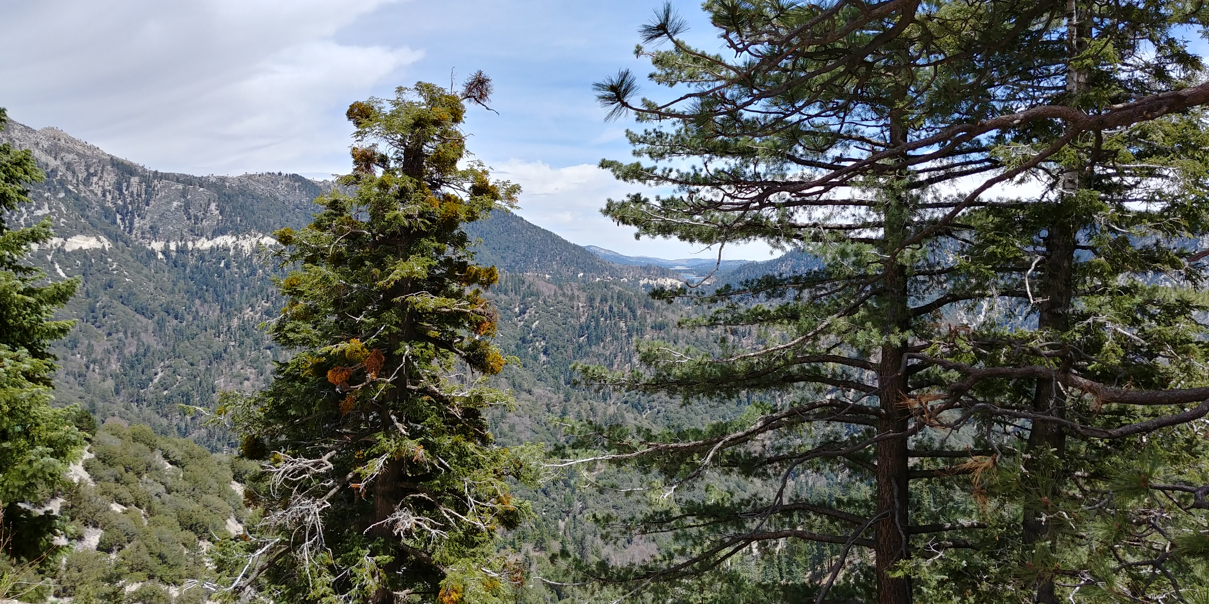 20180506_125938_HDR.jpg