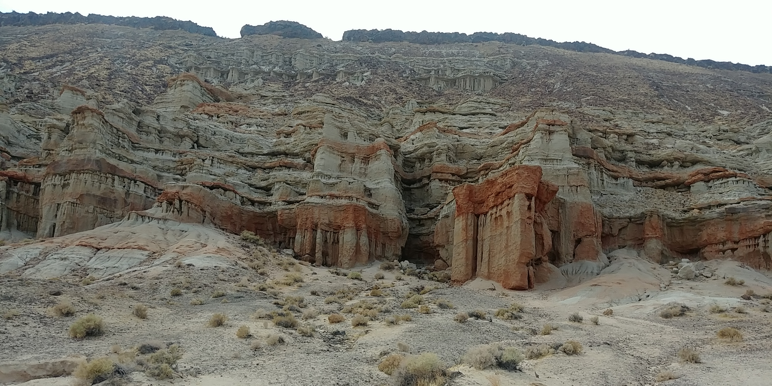 20190915_152857.jpg