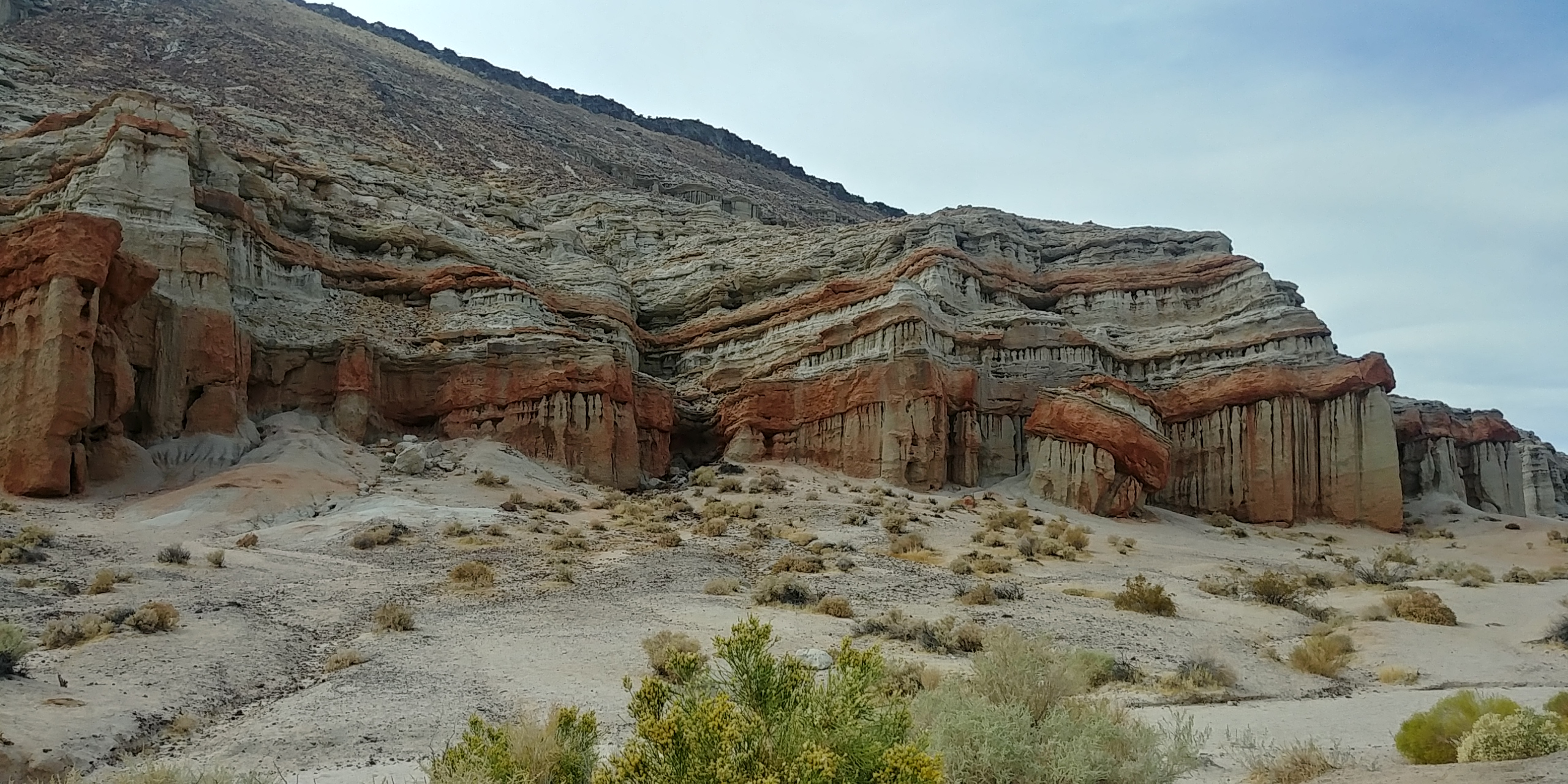 20190915_152852_HDR.jpg